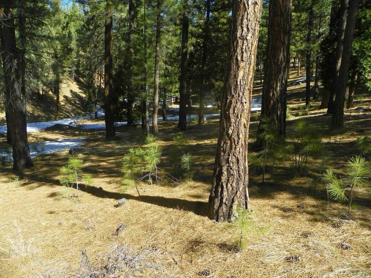 462 Grizzly Ranch Road
