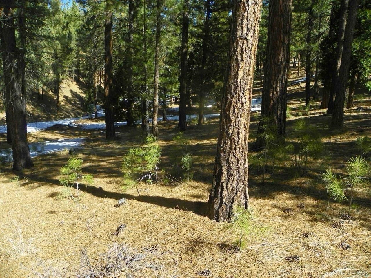 462 Grizzly Ranch Road