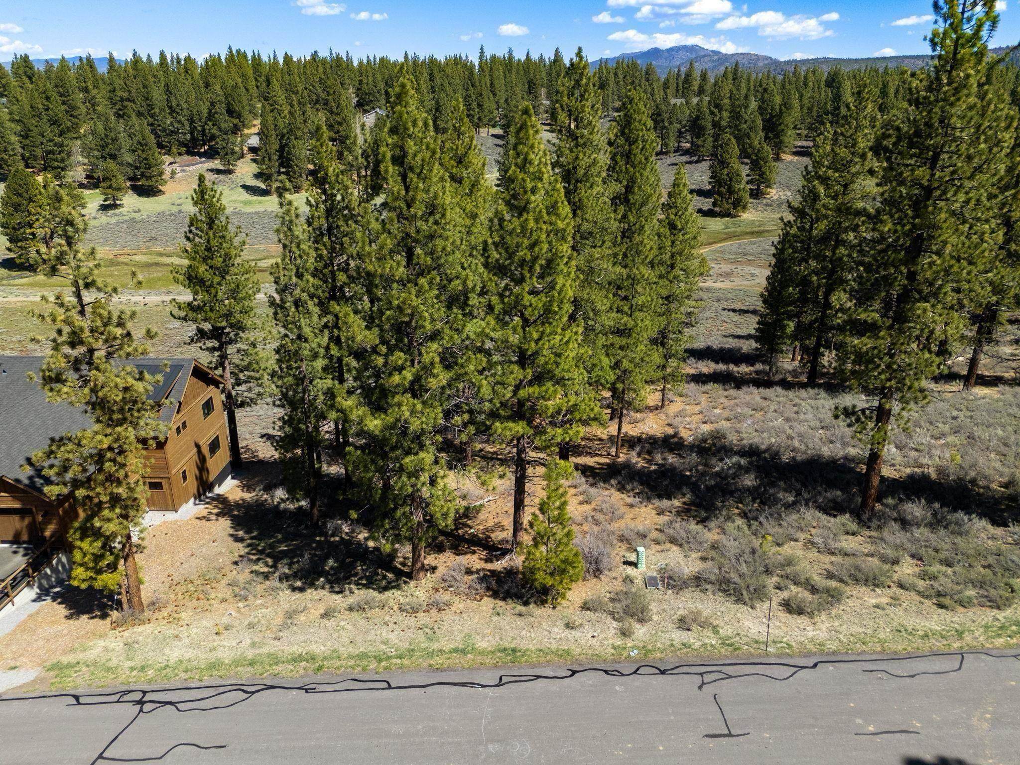 10668 Winchester Court