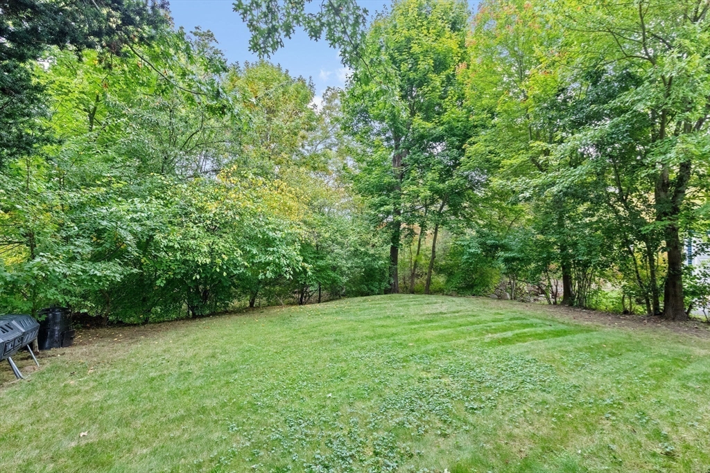 31 Crawford Rd