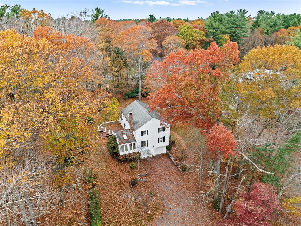 47 Sylvester Rd.