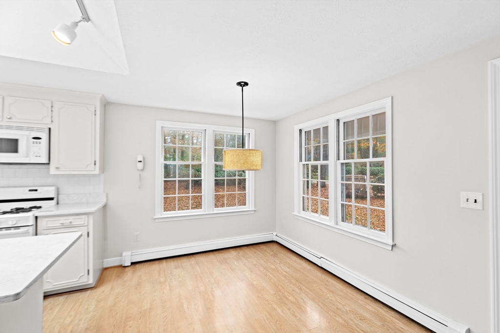 47 Sylvester Rd.