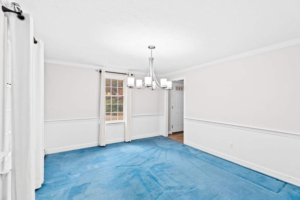 47 Sylvester Rd.