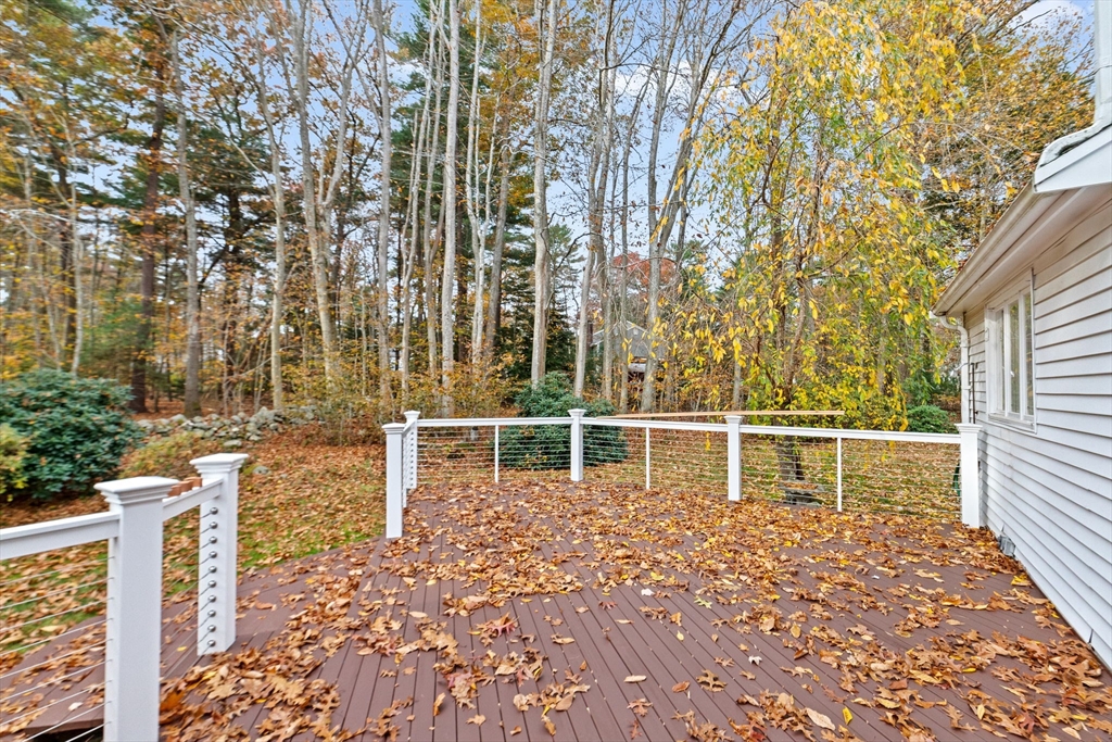 47 Sylvester Rd.