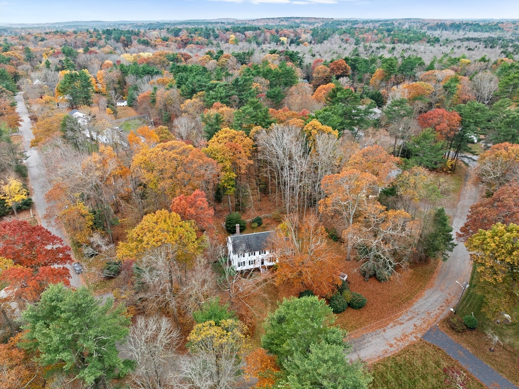 47 Sylvester Rd.