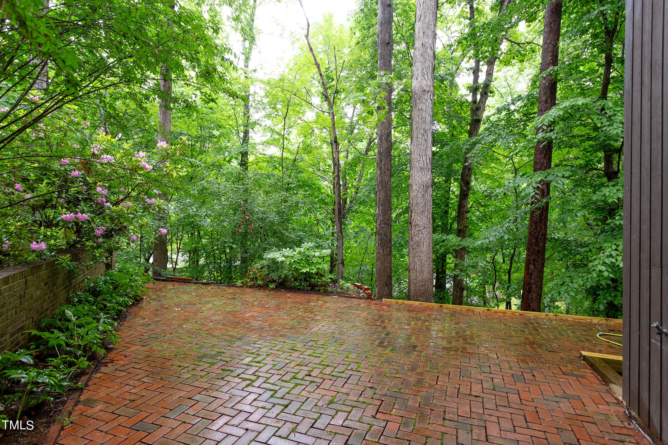616 Beech Tree Court