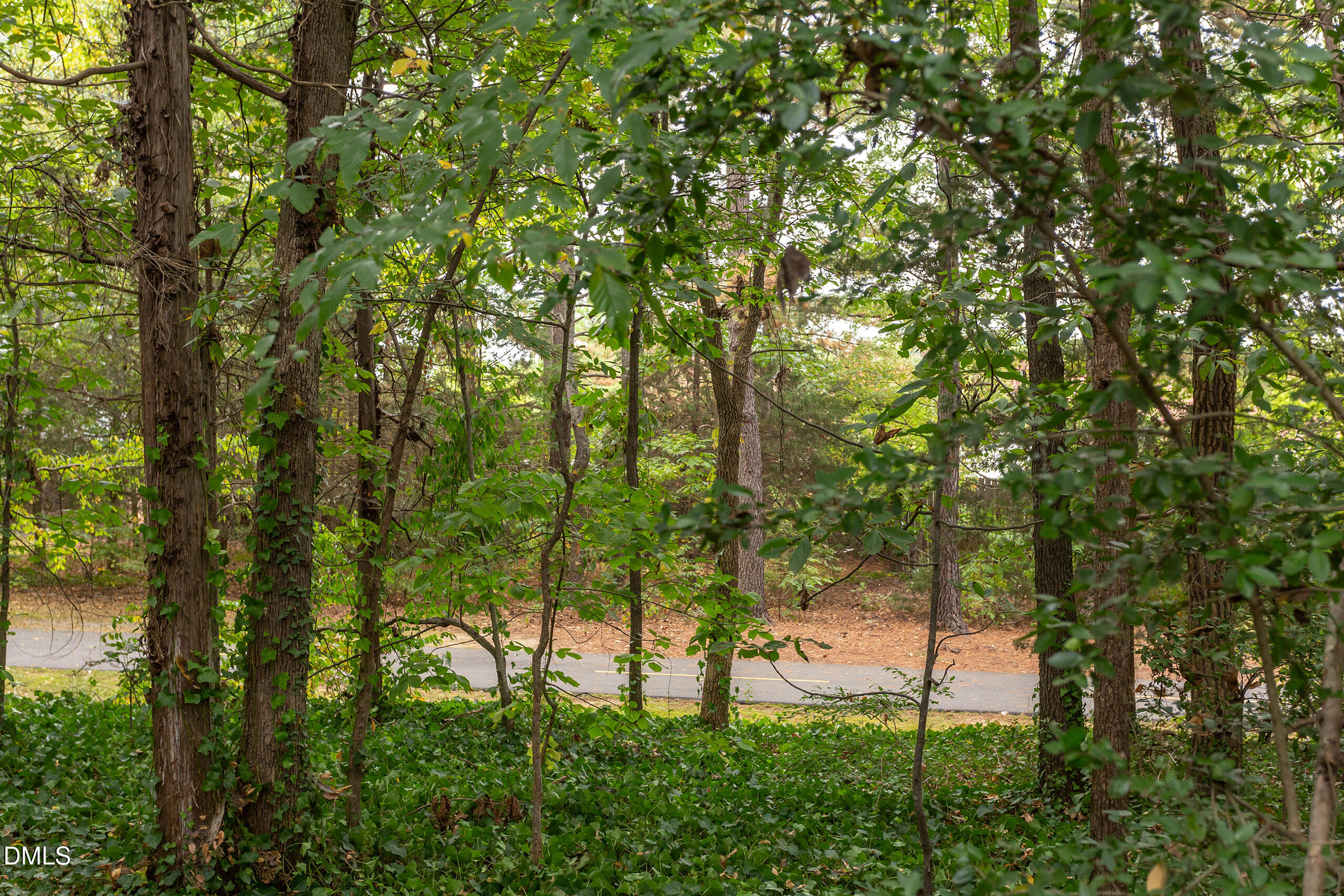 112 Weaver Mine Trail