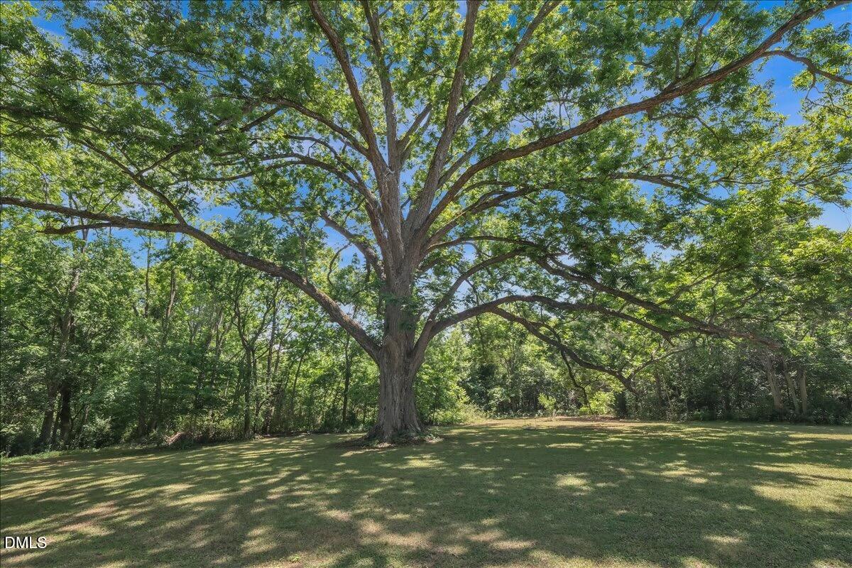 6720 Mebane Oaks Road