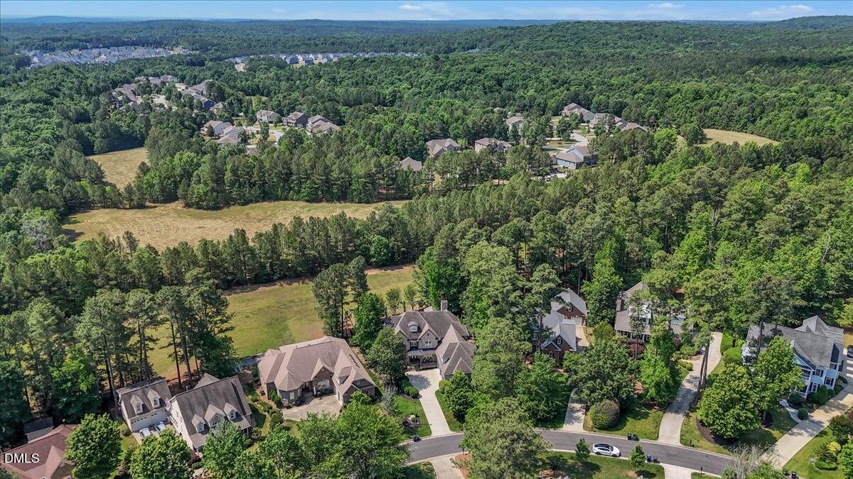 65 Forked Pine Court