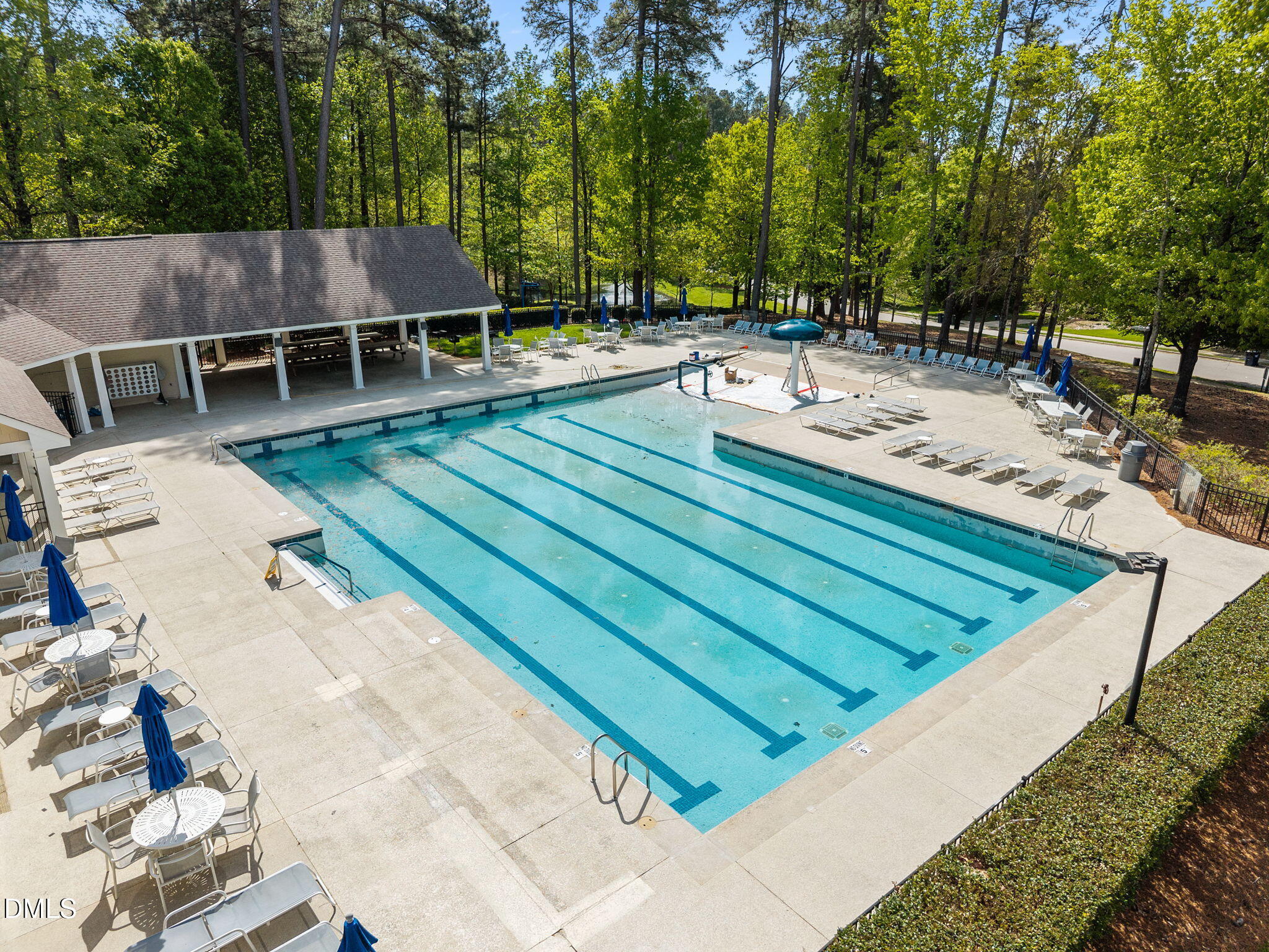 535 Mountain Laurel