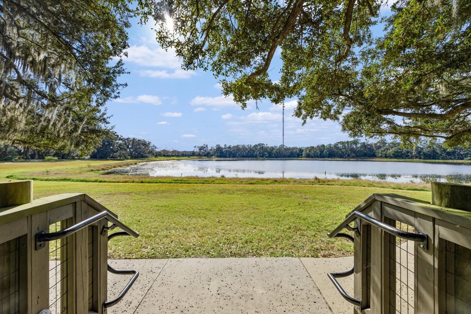 5834 SPOTTED HARRIER WAY