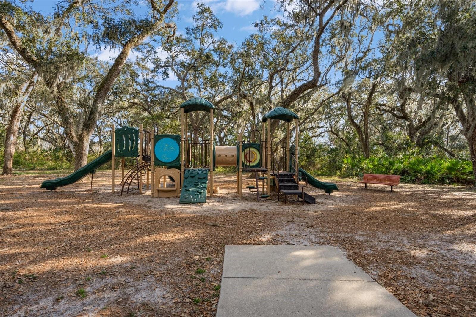 5834 SPOTTED HARRIER WAY