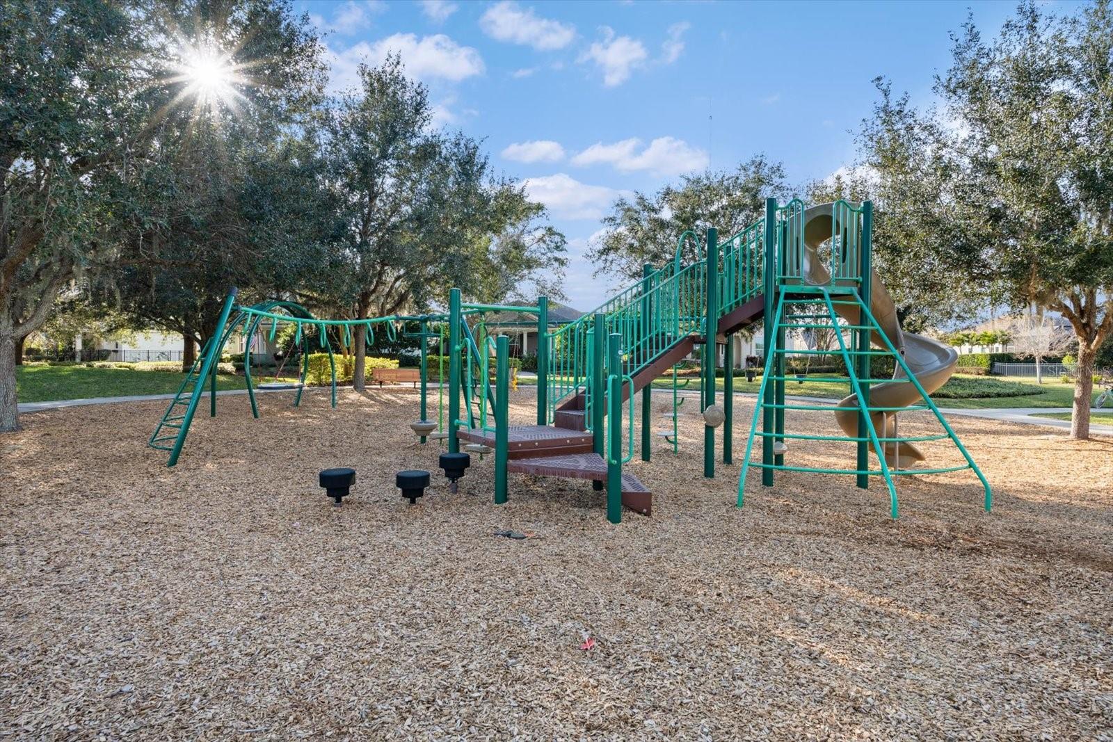 5834 SPOTTED HARRIER WAY