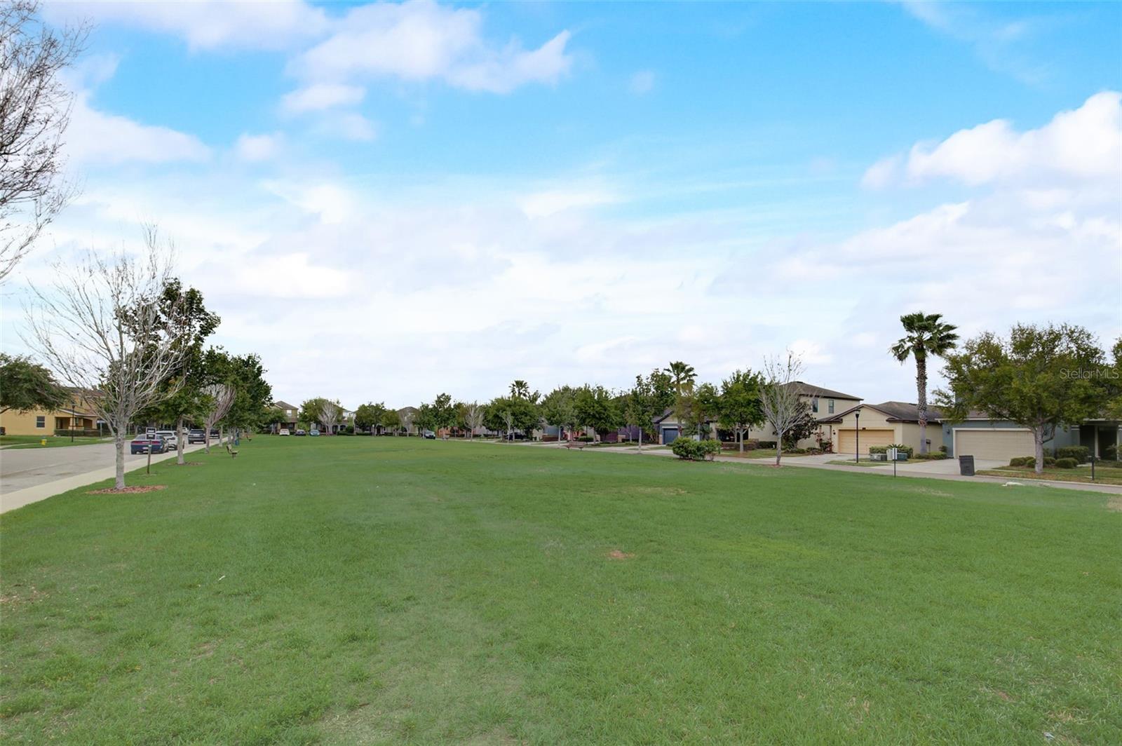 9006 MOUNTAIN MAGNOLIA DR