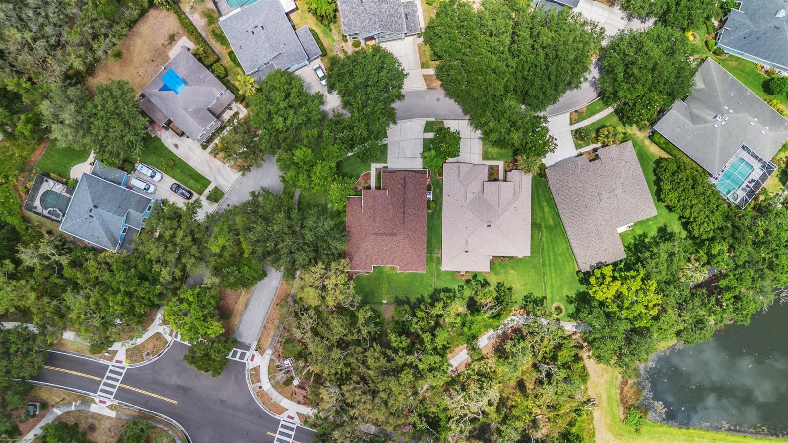 6038 PALOMAGLADE DR