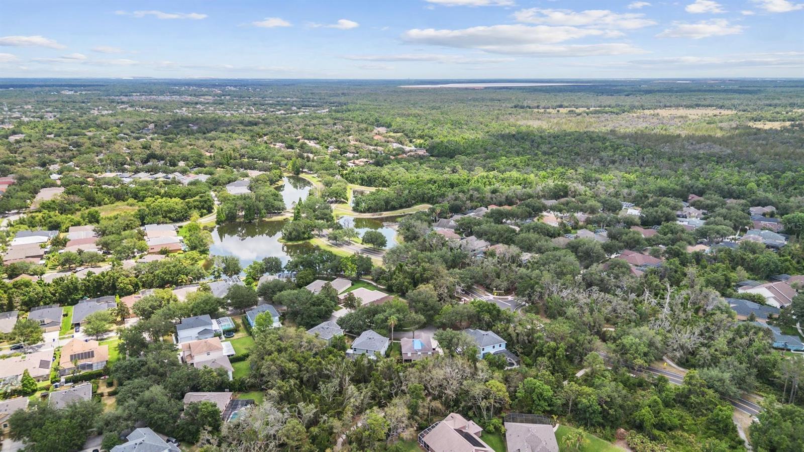 6038 PALOMAGLADE DR