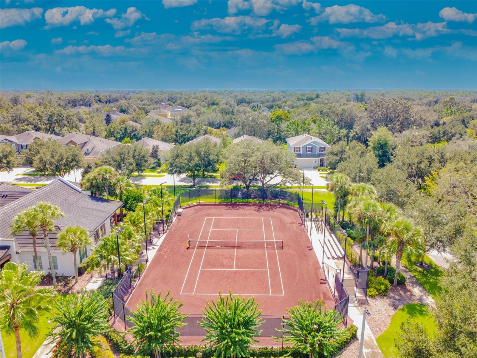 15813 FISHHAWK FALLS DR