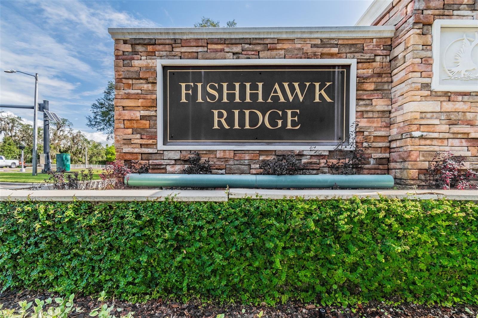 15813 FISHHAWK FALLS DR