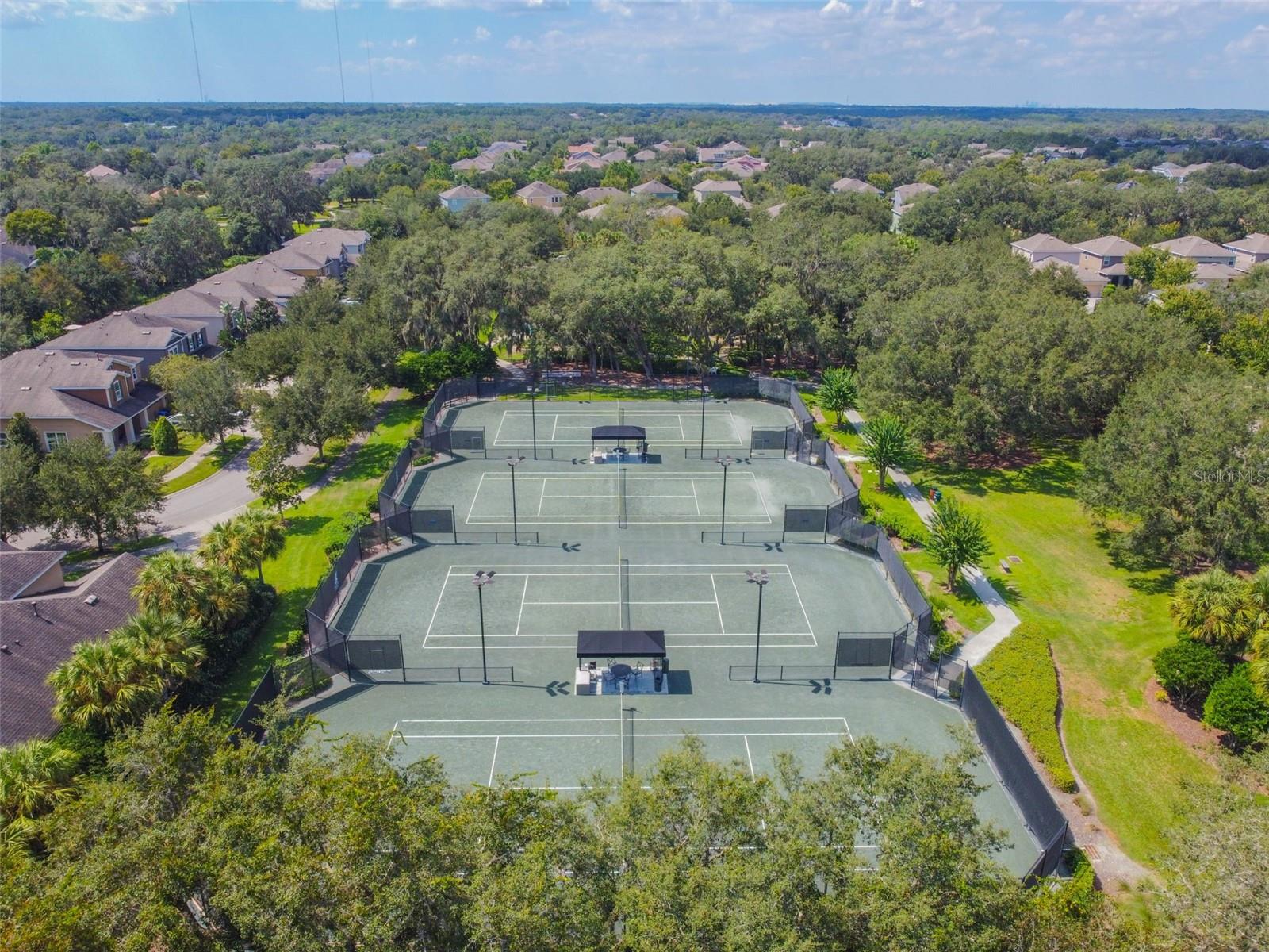 15813 FISHHAWK FALLS DR