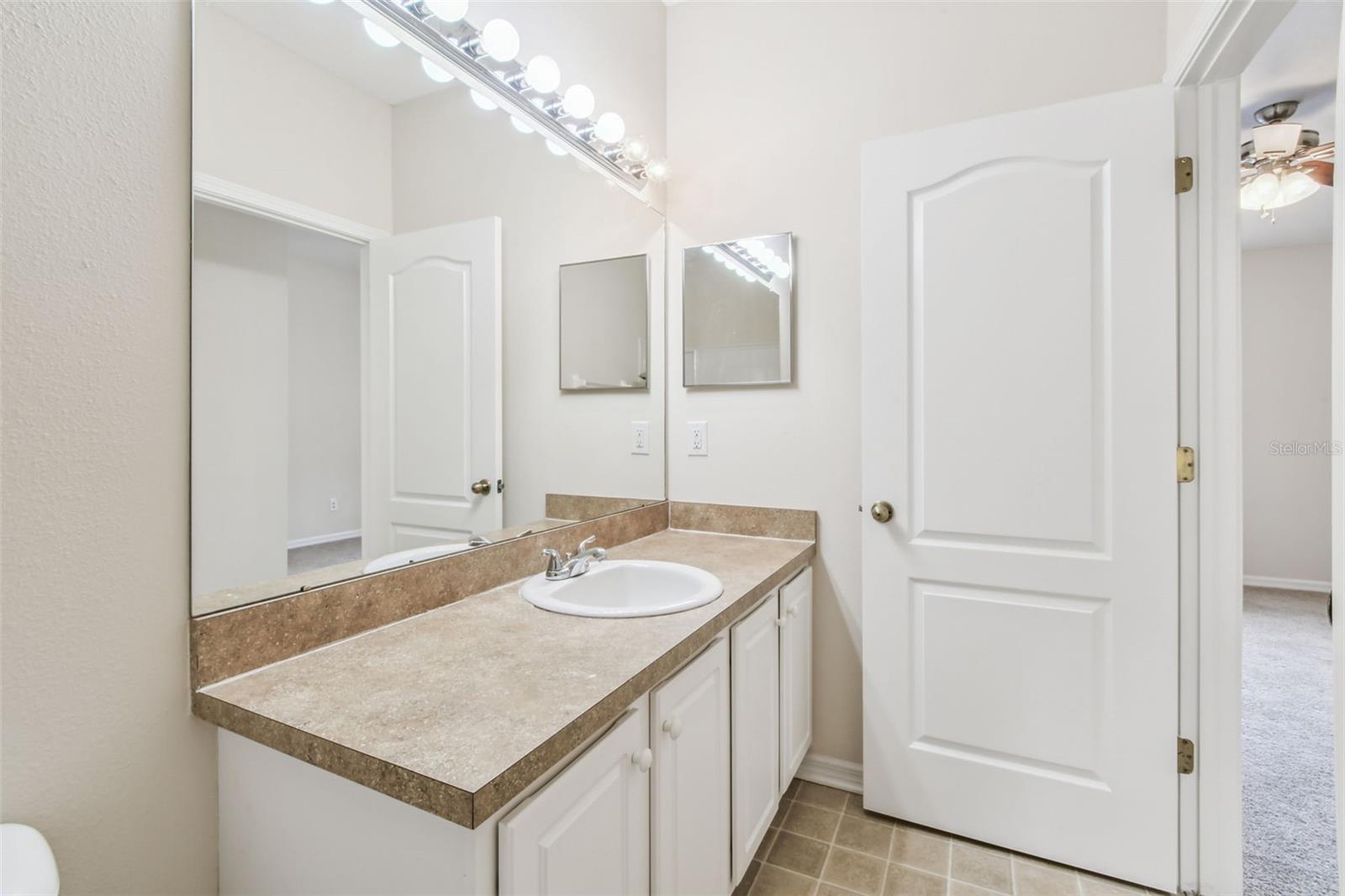 15813 FISHHAWK FALLS DR