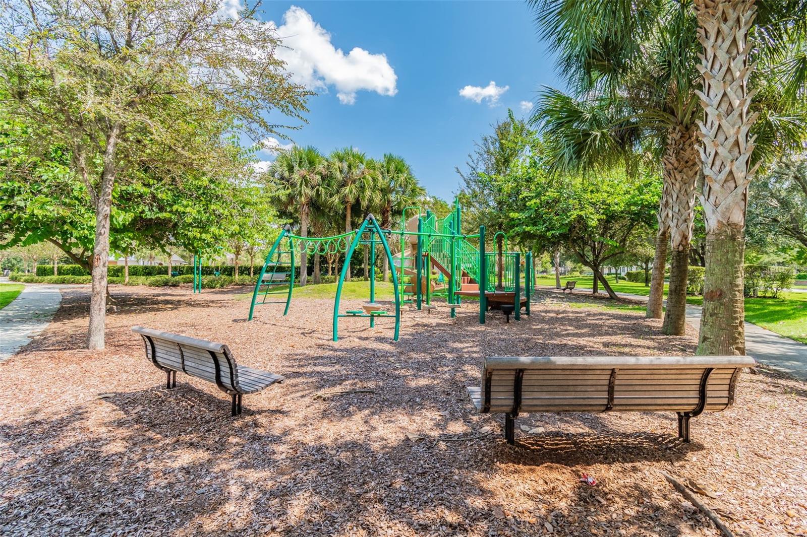 15813 FISHHAWK FALLS DR