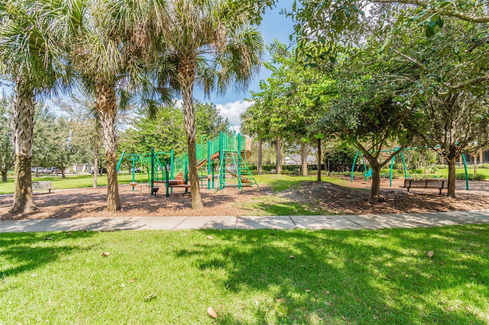 15813 FISHHAWK FALLS DR