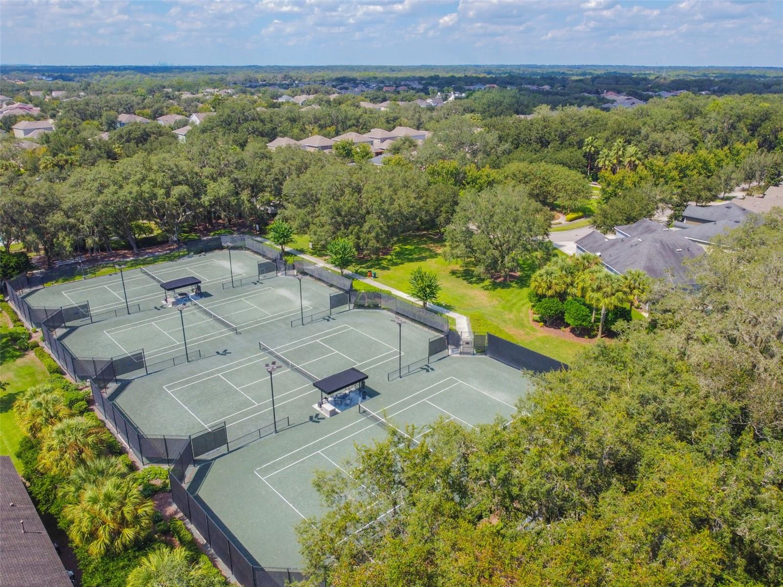 15813 FISHHAWK FALLS DR