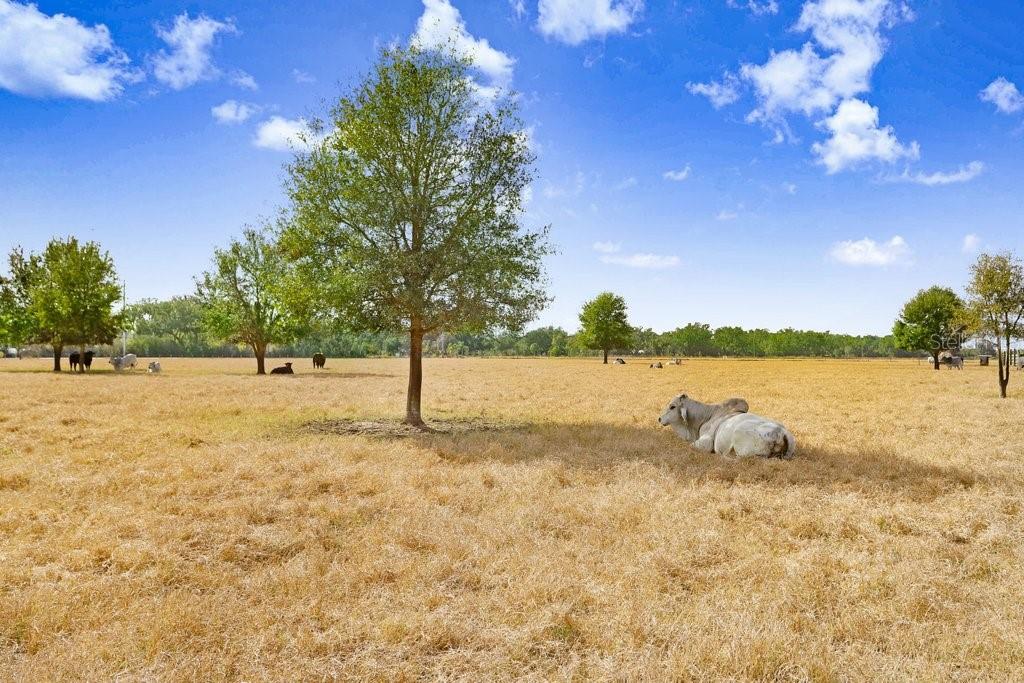 1402 STEPHENS OAK CT