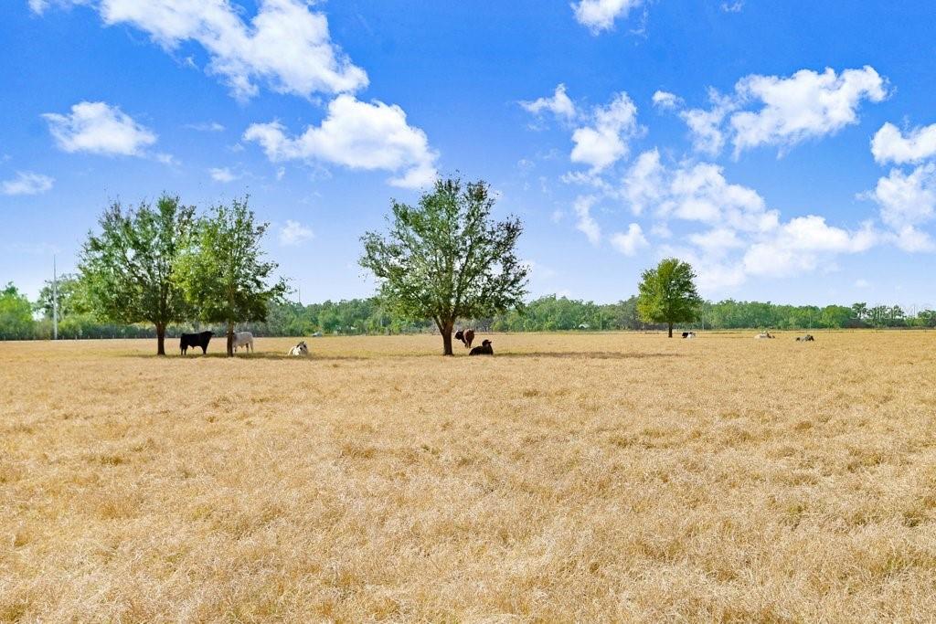 1402 STEPHENS OAK CT