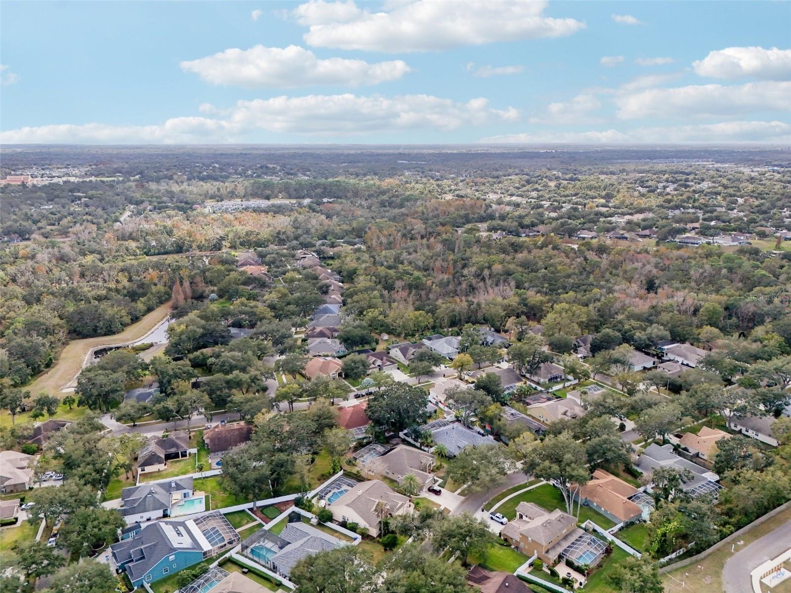 12606 RIVER BIRCH DR