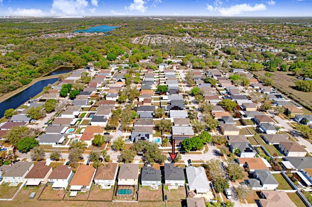 10004 CREEK BLUFF DR