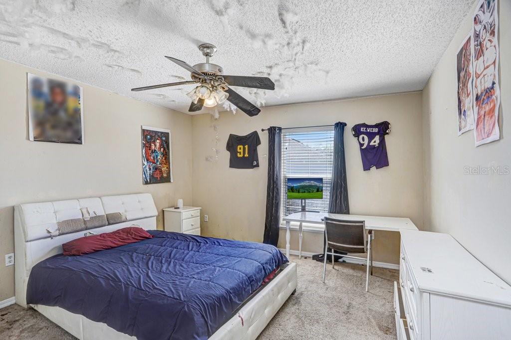 10004 CREEK BLUFF DR