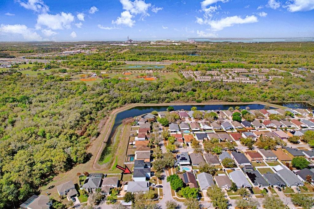 10004 CREEK BLUFF DR