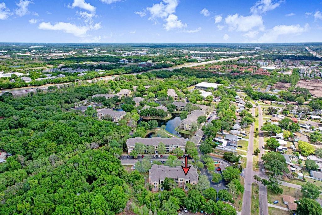 2407 COURTNEY MEADOWS CT #303