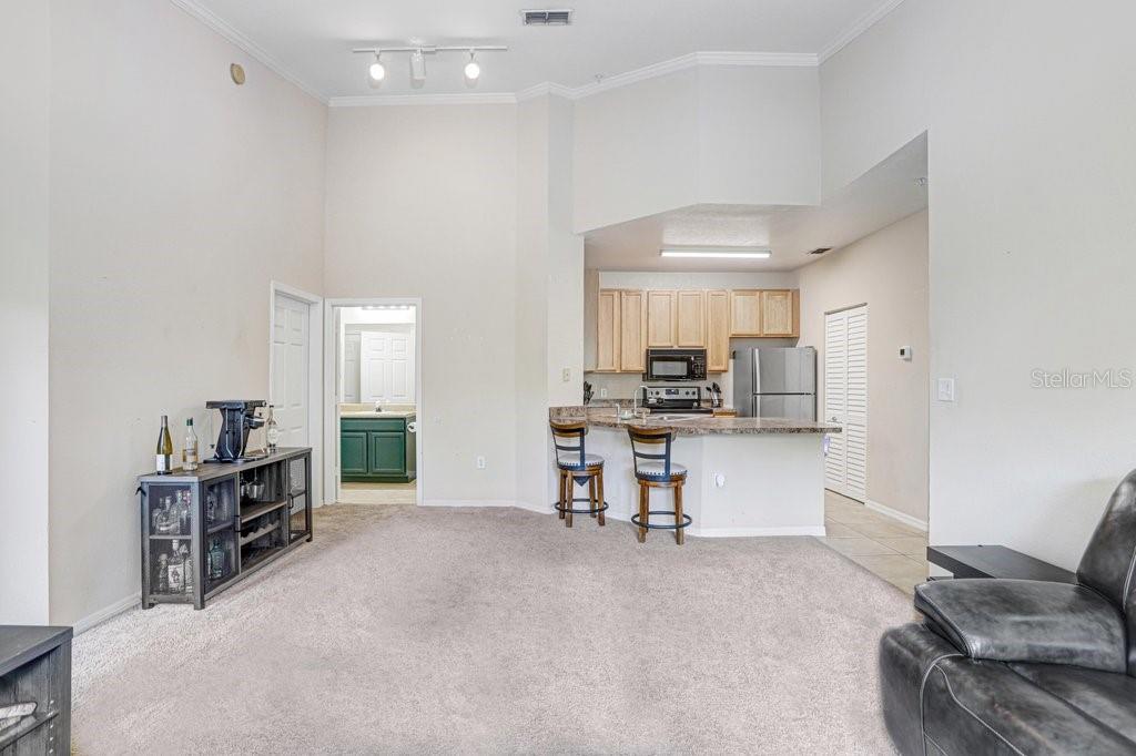 2407 COURTNEY MEADOWS CT #303