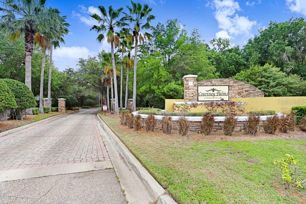 2407 COURTNEY MEADOWS CT #303