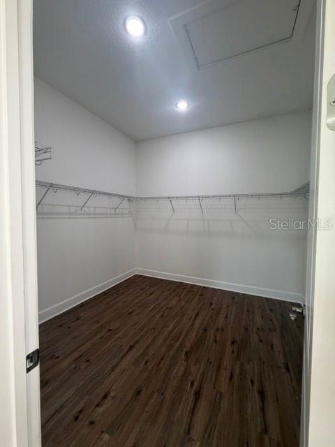 6289 MESA GLN