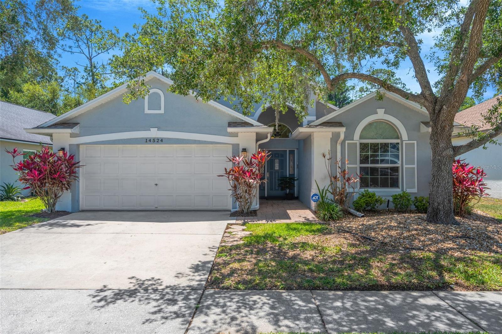 14524 WEEPING ELM DR