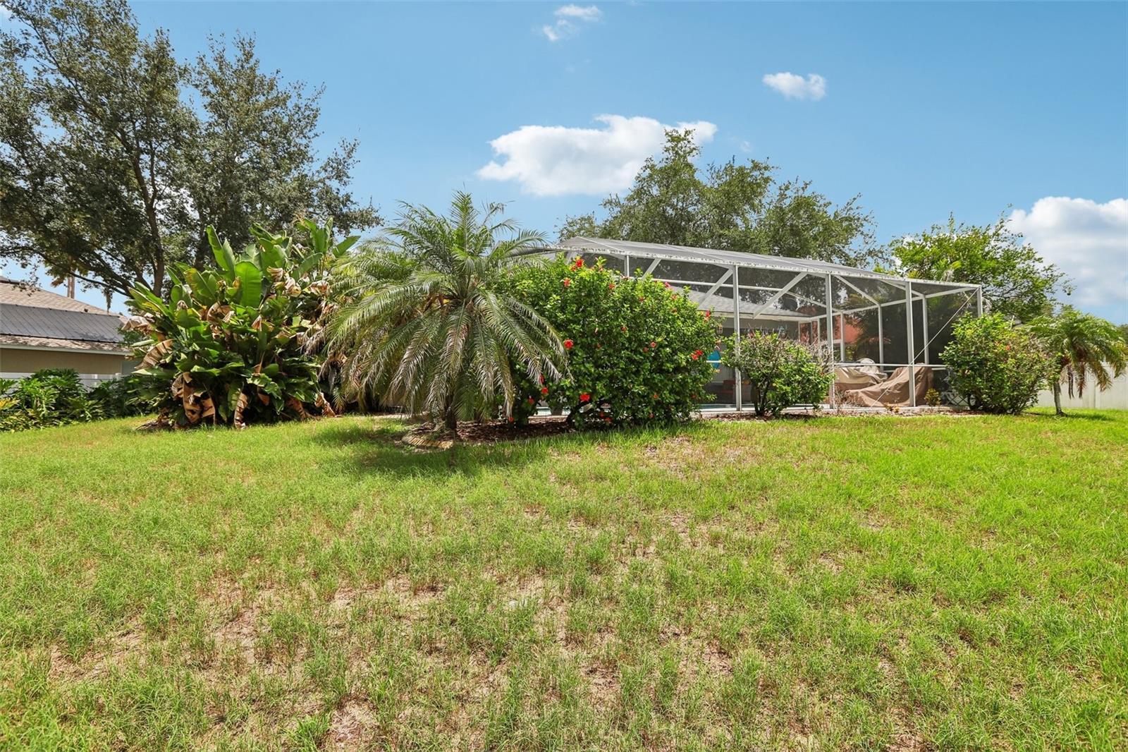 12517 SAFARI LN