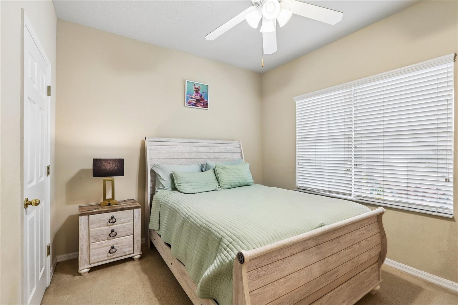 12517 SAFARI LN