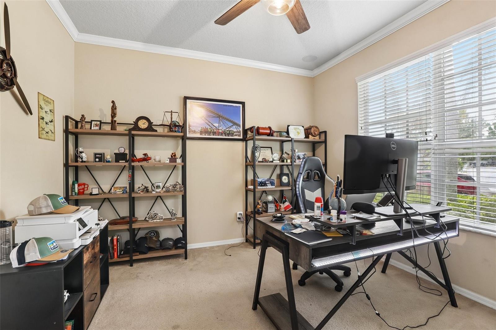 12517 SAFARI LN