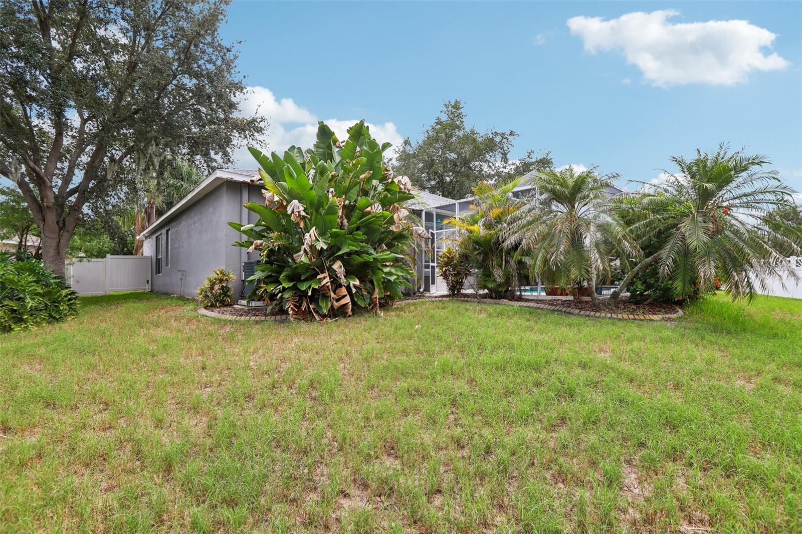 12517 SAFARI LN