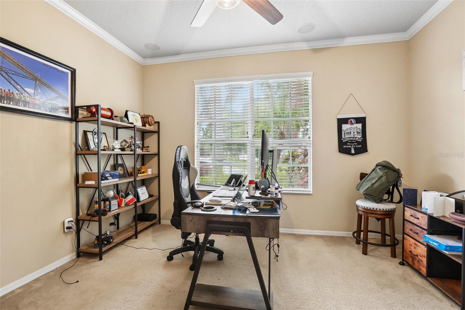 12517 SAFARI LN