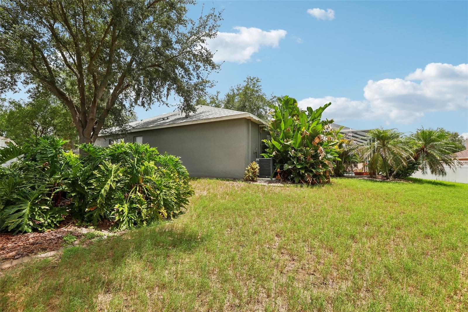 12517 SAFARI LN