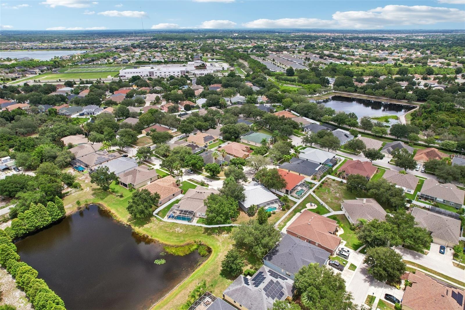12517 SAFARI LN