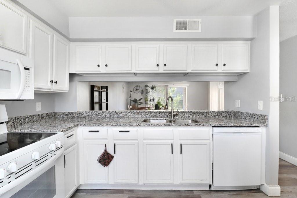 5236 SUNRIDGE PALMS DR #5236
