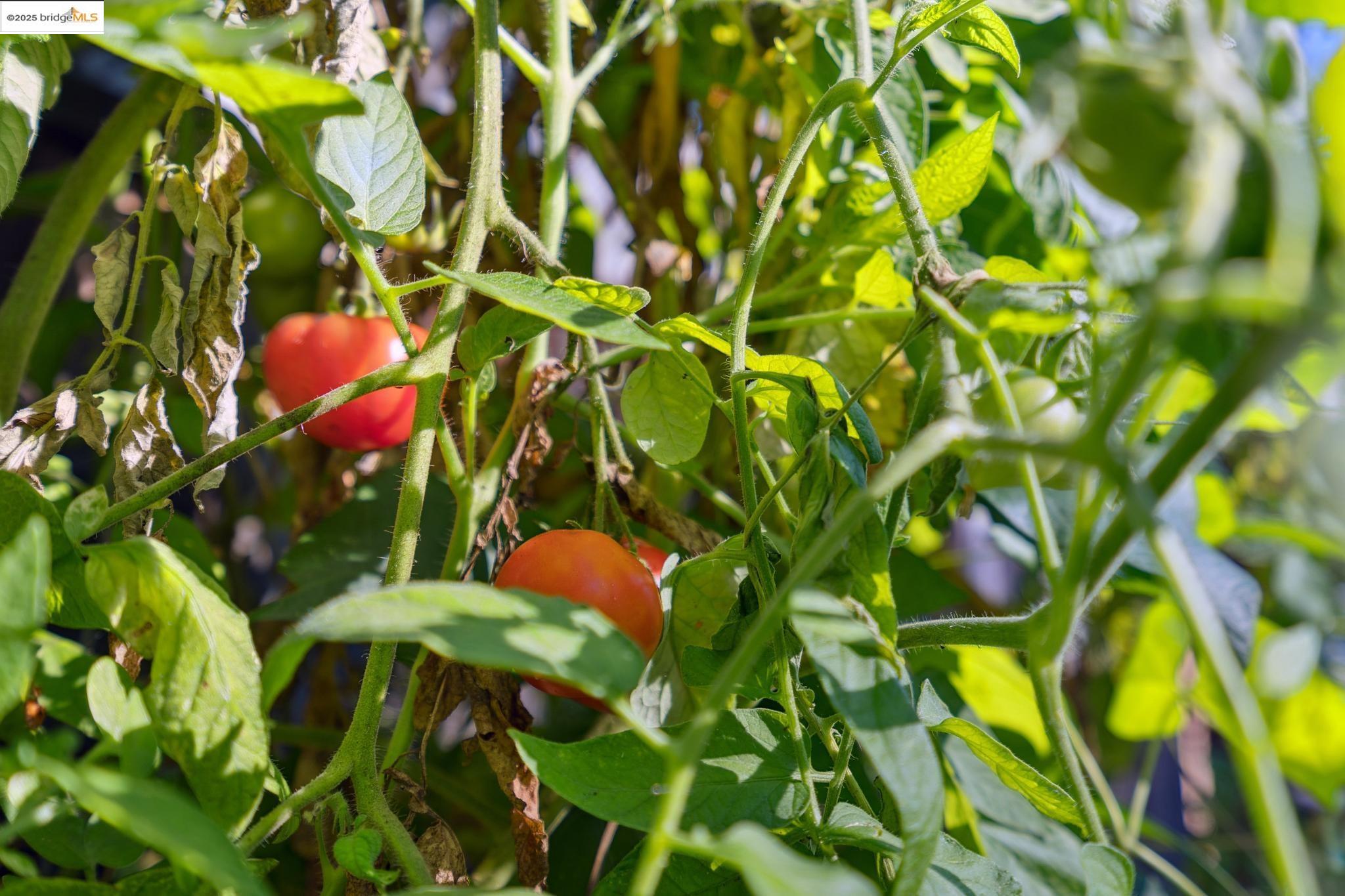 5505 Kales Avenue, Oakland