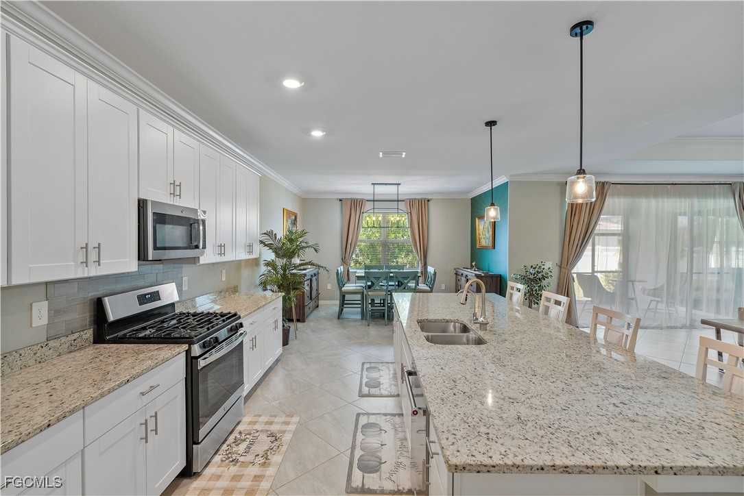 17339 Palmetto Pass LN