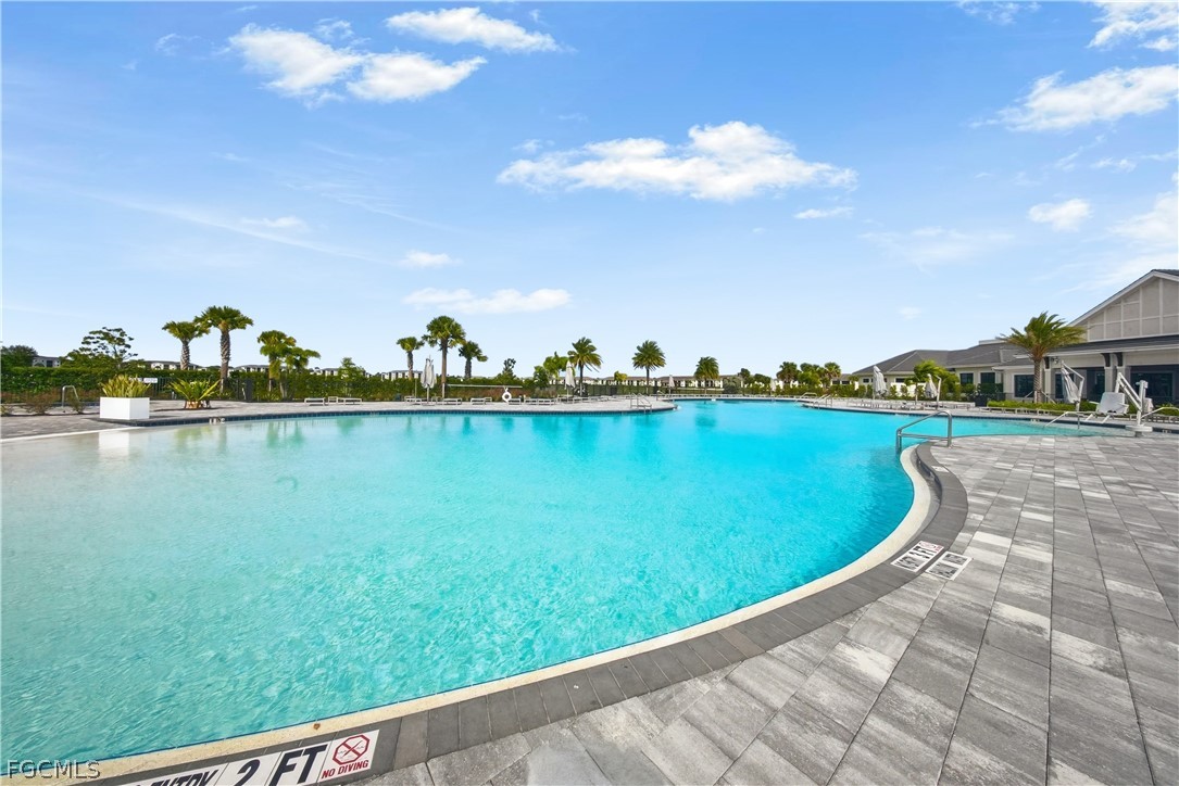 43282 Water Bird WAY 6322