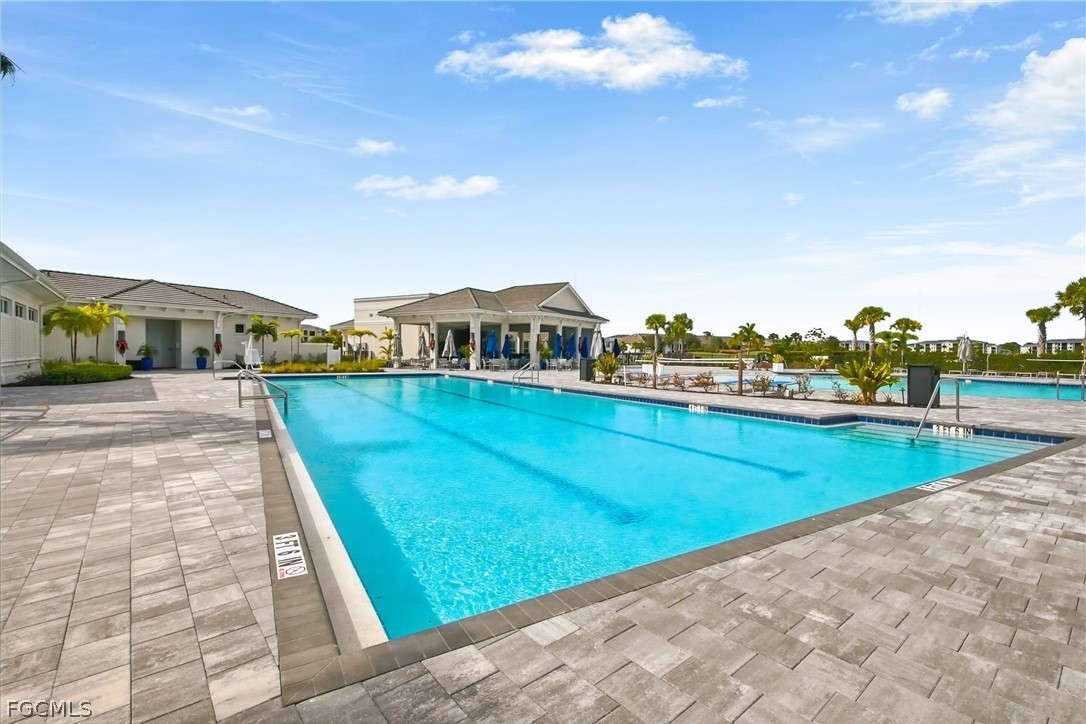 43282 Water Bird WAY 6322